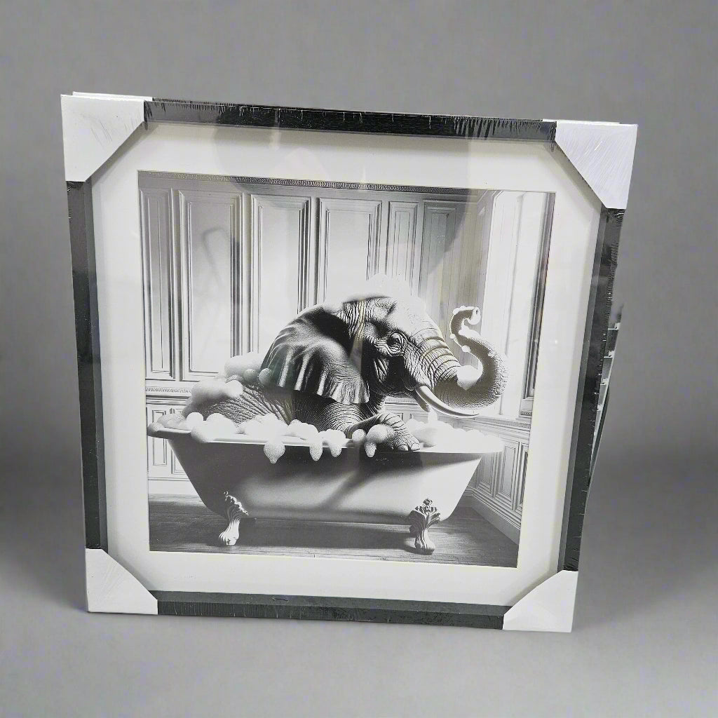 Wooden Framed Animal Prints 42 X 42 cm