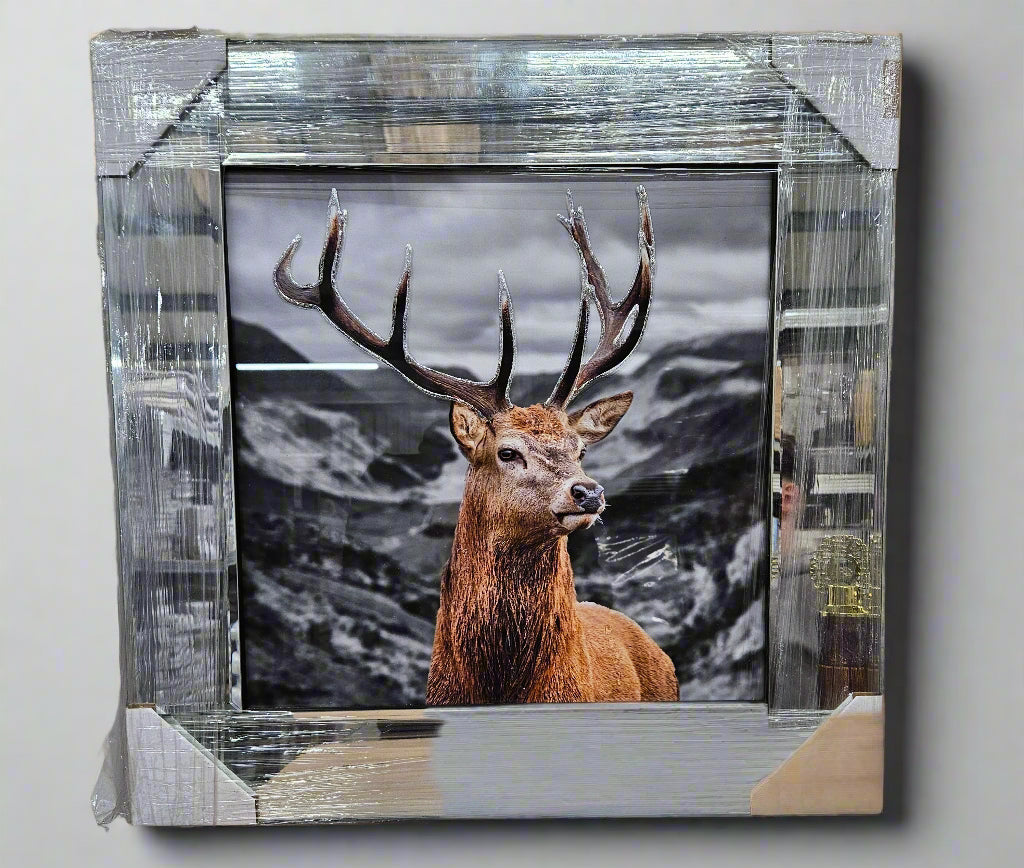 Mirrored Framed Prints