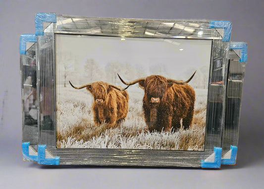 Mirrored Framed Prints