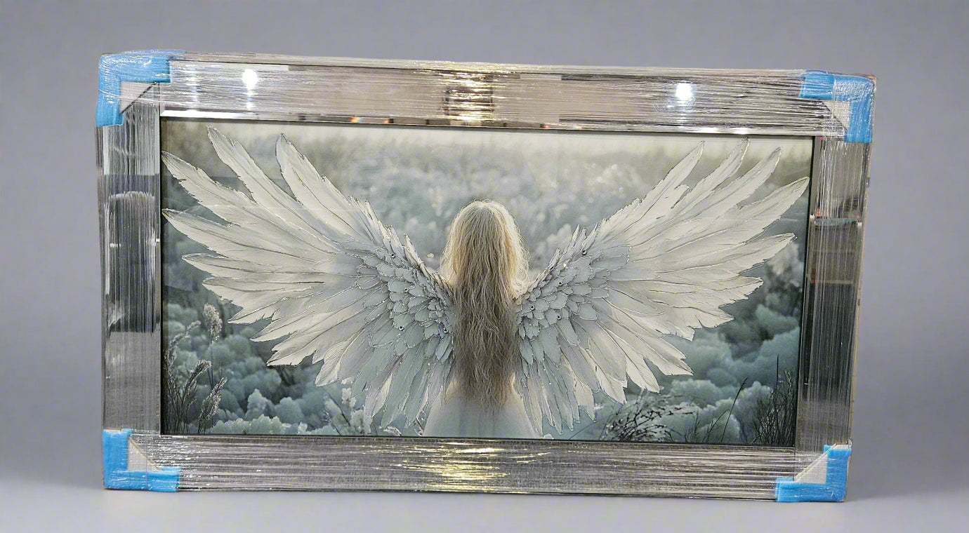 Mirrored Framed Prints