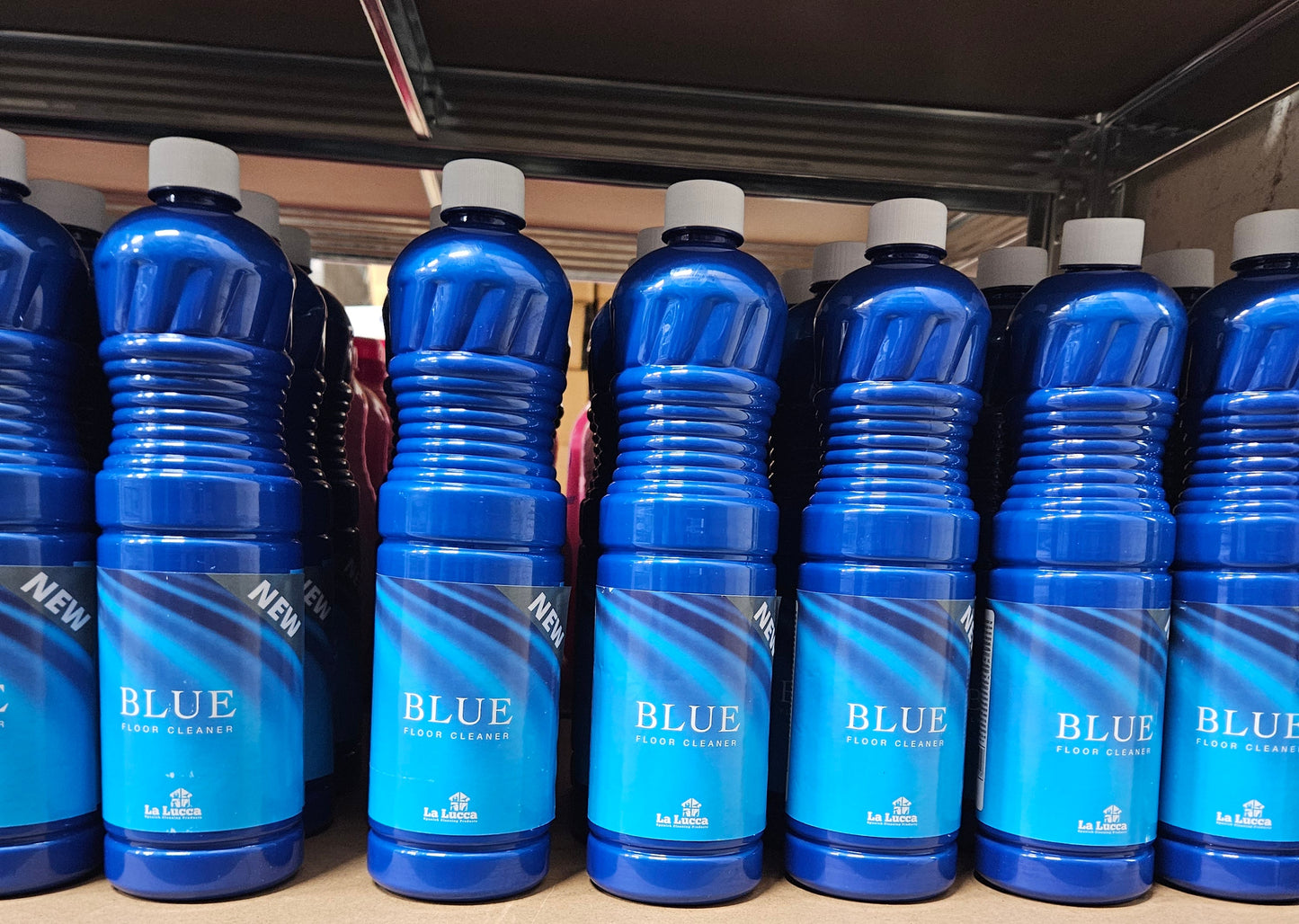 La Lucca Blue Bundle
