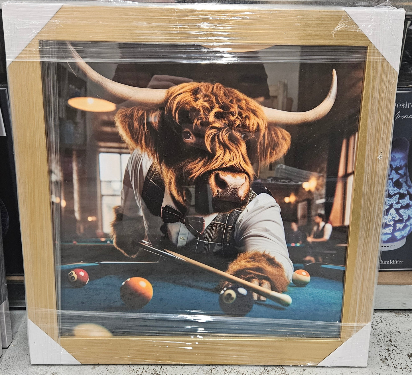 Wooden Framed Animal Prints 47 x 47 cm