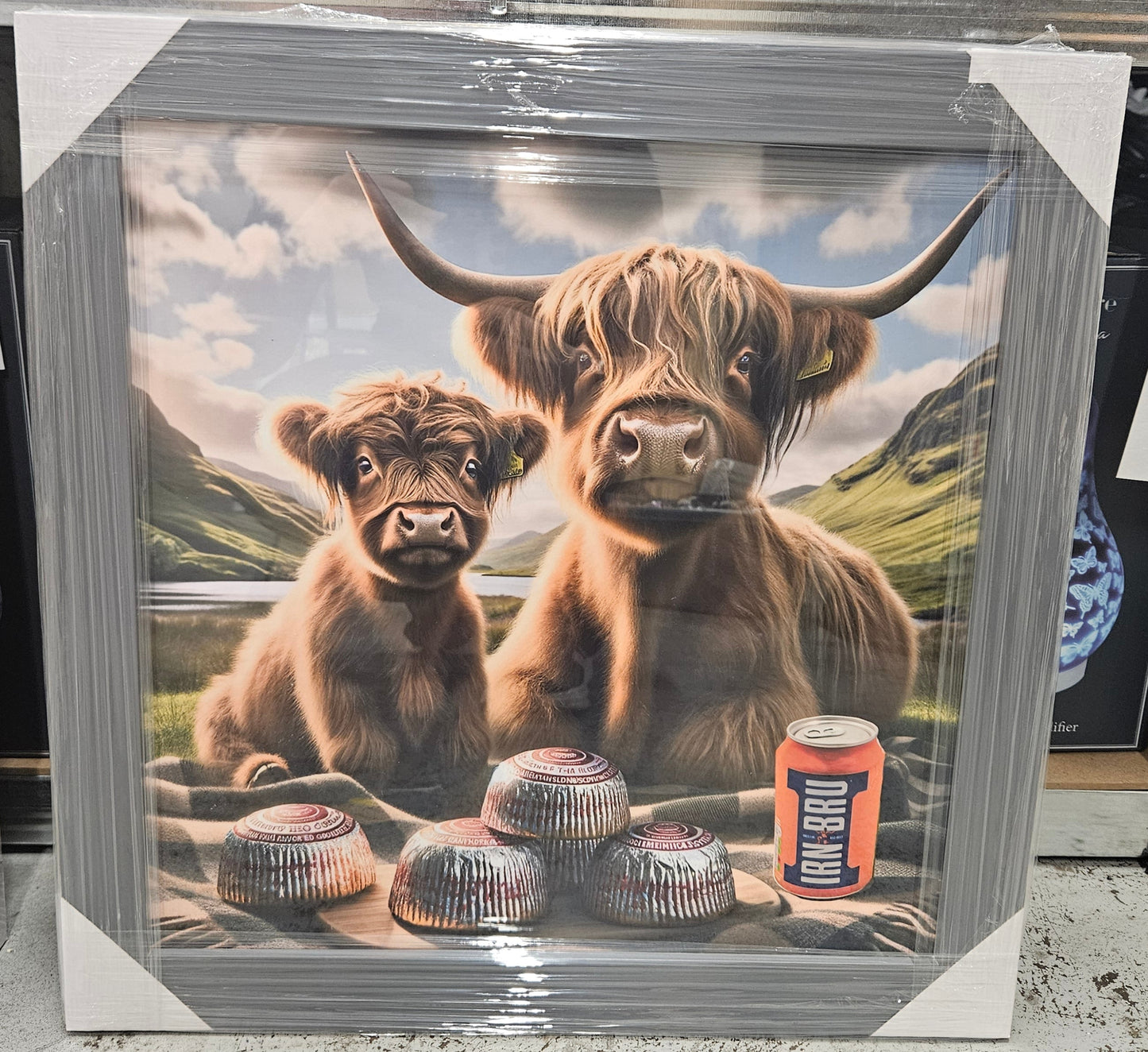 Wooden Framed Animal Prints 47 x 47 cm