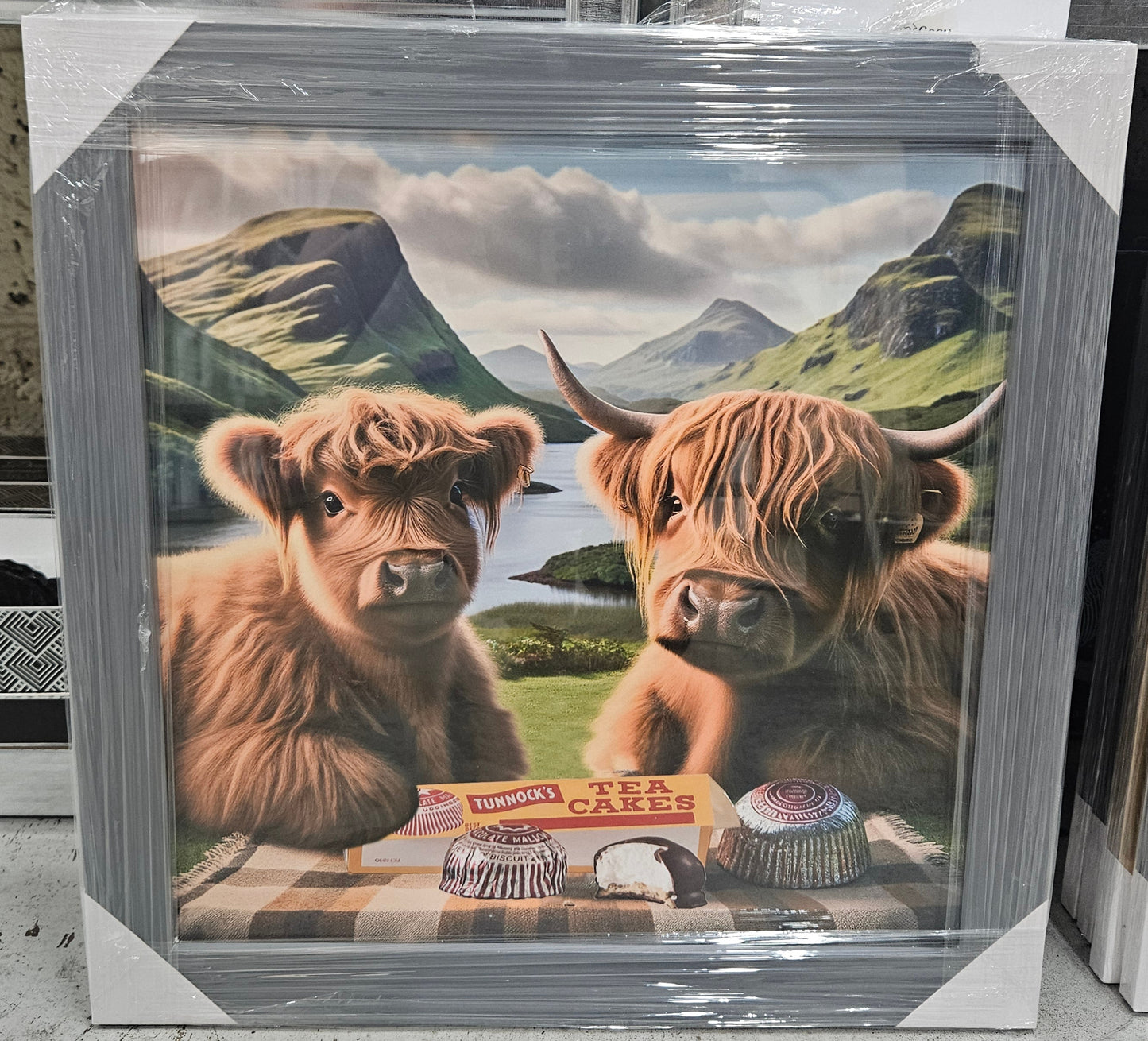 Wooden Framed Animal Prints 47 x 47 cm