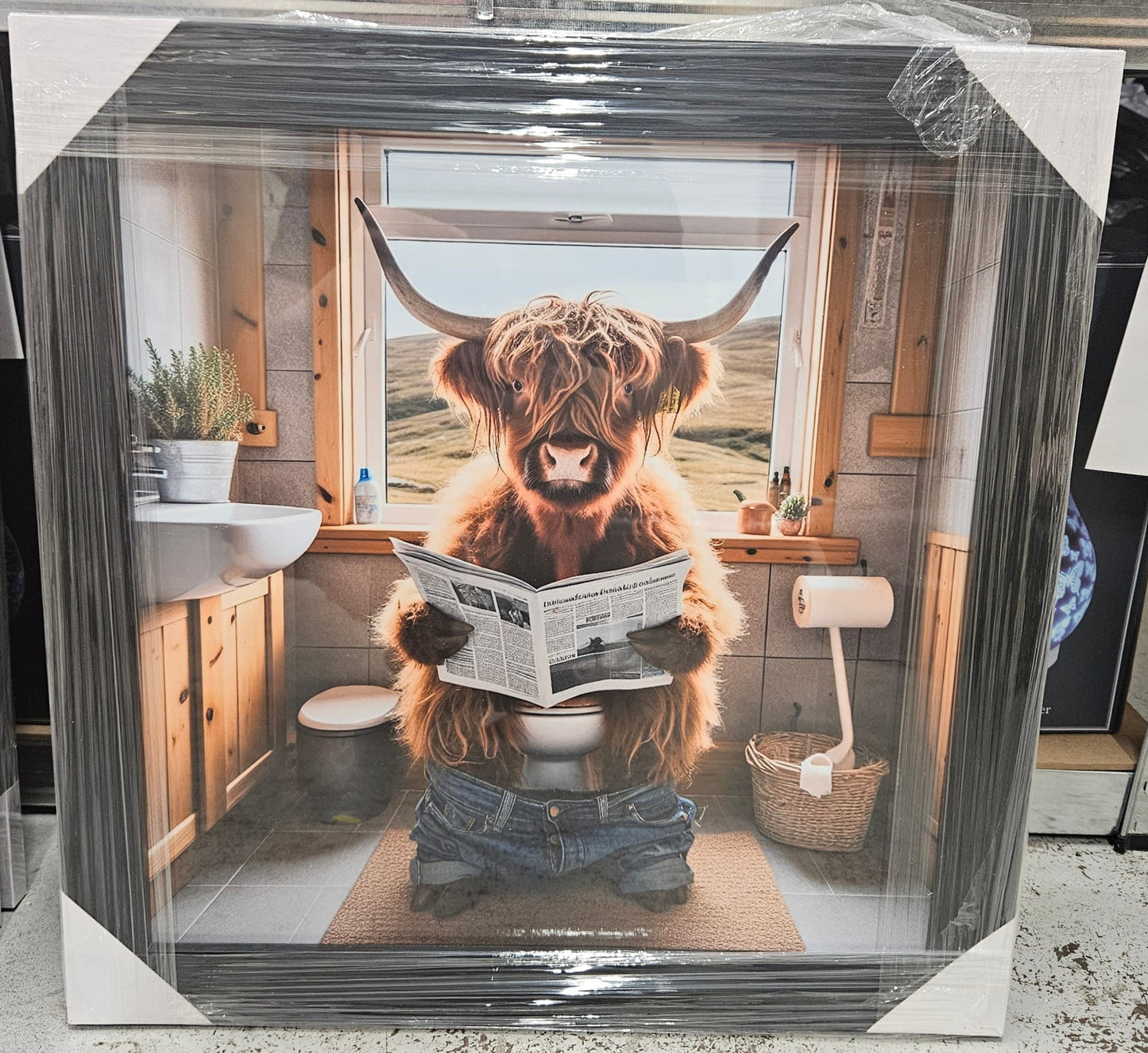 Wooden Framed Animal Prints 47 x 47 cm