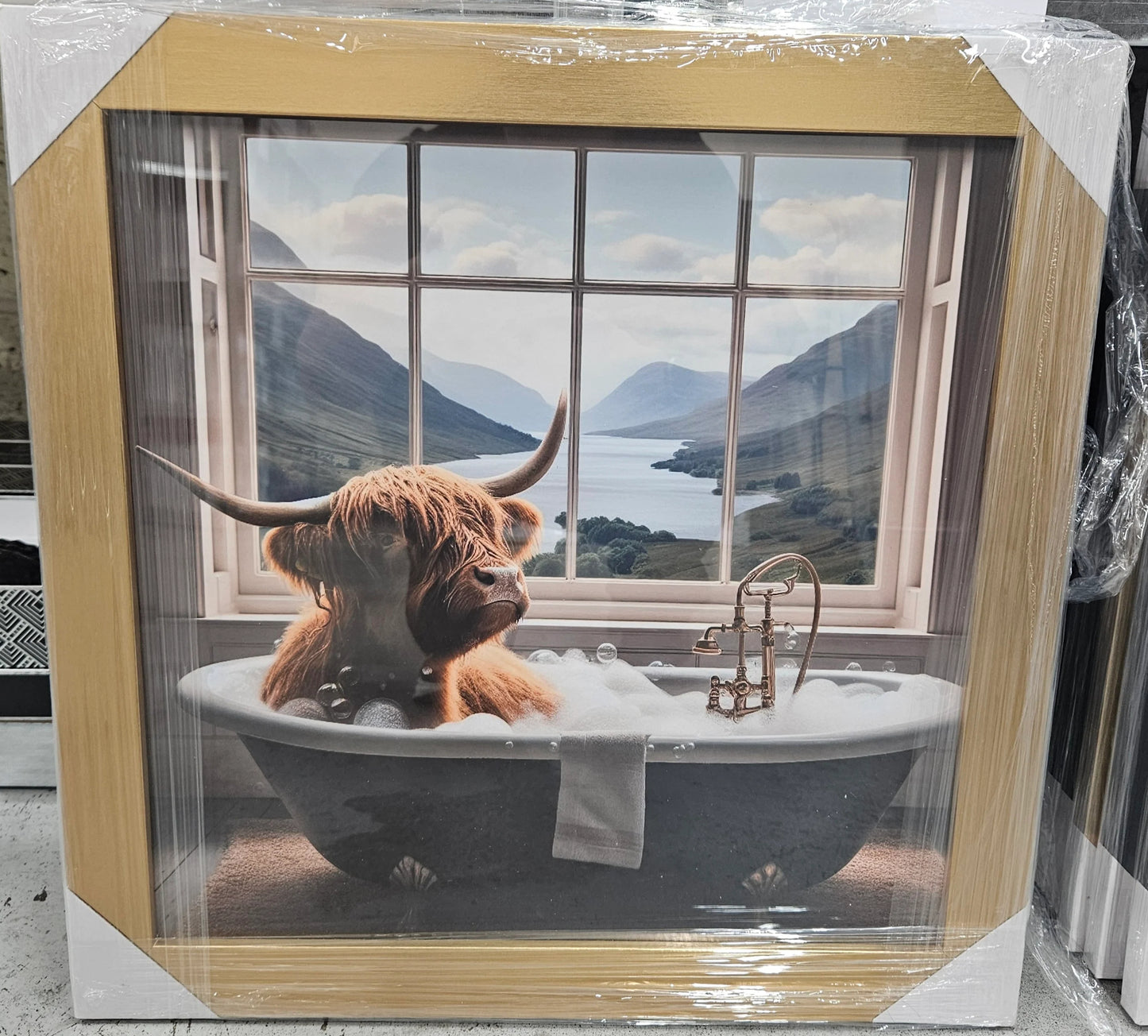 Wooden Framed Animal Prints 47 x 47 cm