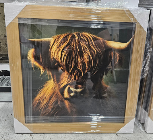 Wooden Framed Animal Prints 47 x 47 cm