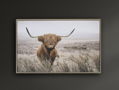 Urban Art Highland Cow Wall Art 40x30cm LP76198