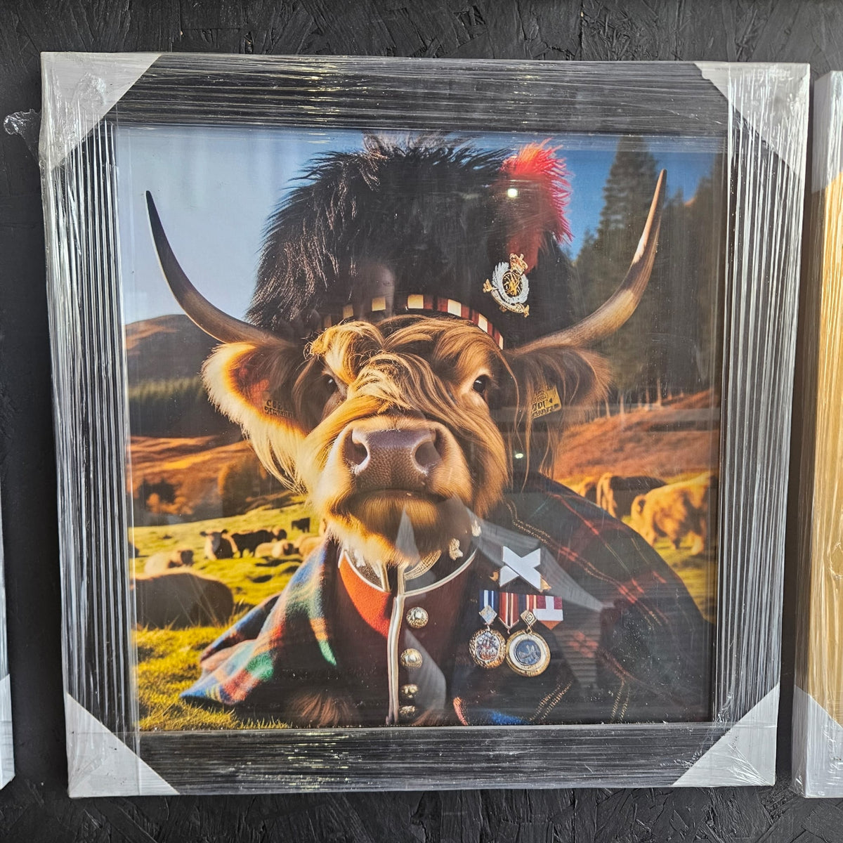 Wooden Framed Animal Prints 47 x 47 cm