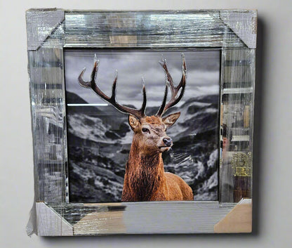 Mirrored Framed Prints