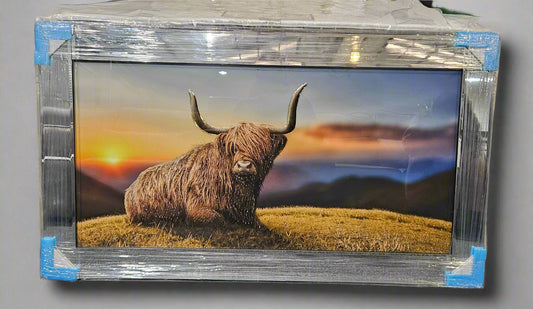 Mirrored Framed Prints