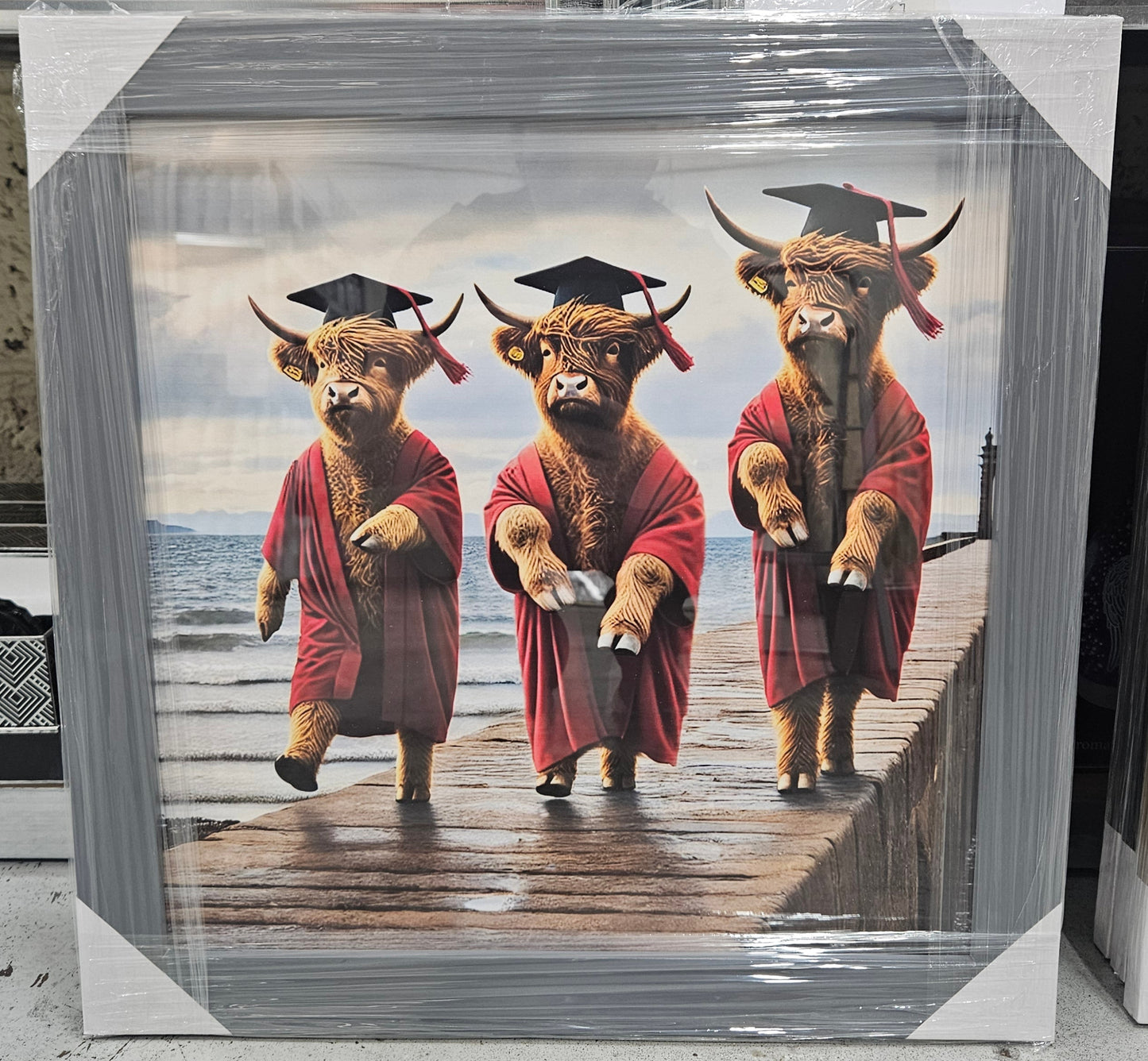 Wooden Framed Animal Prints 47 x 47 cm