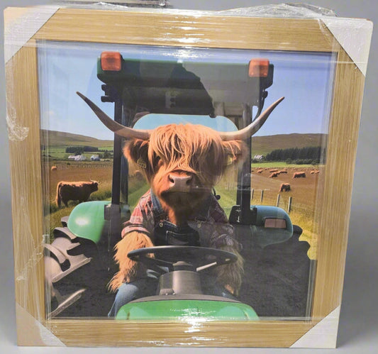 Wooden Framed Animal Prints 47 x 47 cm