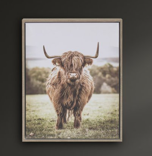 Urban Art Highland Cow Wall Art 30*40cm LP76197