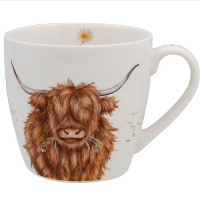 Clemency Bunn Highland Cow Range