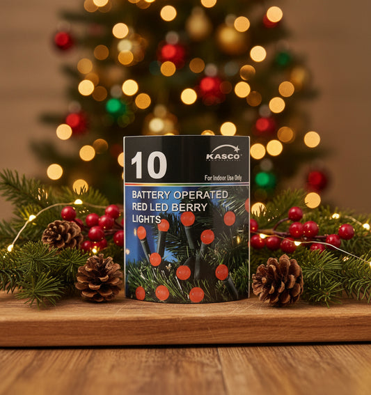 Christmas String Lights Indoor Battery Operated - 10 Lights