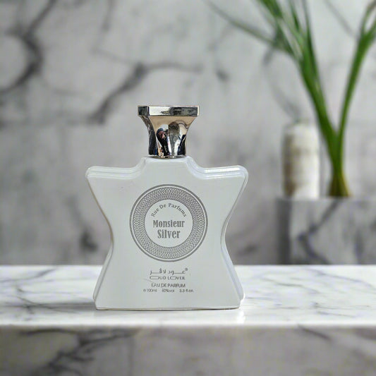 Rue de Parfums Monsieur Silver EDP 100ml